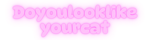 Doyoulooklikeyourcat - Panduan Taruhan Bola: Cara Menang Besar dengan Strategi Terbaik